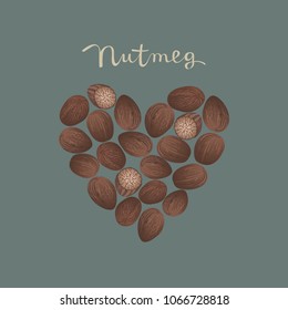   Nutmeg spice in a heart shape on the blue background vector isolated illustration