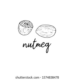 Nutmeg spice in the style of doodle. Isolated food illustration with the inscription. Black and white vector. Logo or icon