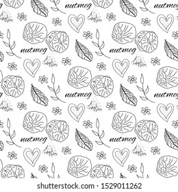 Nutmeg spices outline seamless pattern on white background, vector