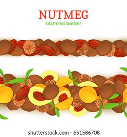 Nutmeg spicy horizontal seamless border. Vector card illustration with composition of pattern nutmeg spice nut fruit in the shell whole shelled leaves for design of food packaging breakfast detox diet