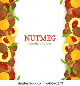 Nutmeg spicy vertical seamless border. Vector card illustration with composition of pattern nutmeg spice nut fruits in the shell whole shelled leaves for design of food packaging breakfast detox diet