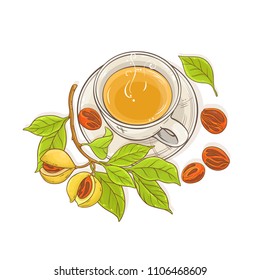 nutmeg tea illustration