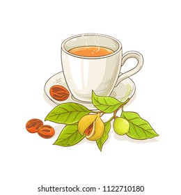 nutmeg tea illustration