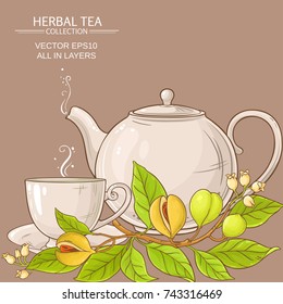 nutmeg tea vector illustration on color background