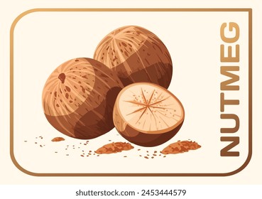 Nutmeg vector icon on beige background. Cartoon illustration of nutmeg seeds. Detailed shading creates a realistic appearance, highlighting the texture and natural variations of the nut