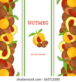 Nutmeg verticall seamless border. Vector illustration with composition of a delicious pattern nutmeg fruit in the shell whole shelled leaves appetizing looking for packaging design of healthy food