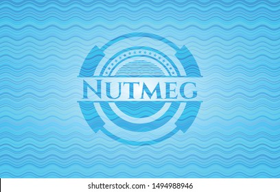 Nutmeg water concept emblem background. Vector Illustration. Detailed.