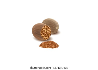 Nutmeg whole and crushed powder. Spices isolated on white background. Vector illustration. Can be used for package, prints, wrapping, menu, price tag, label, healthy brochure, organic. As logo, symbol