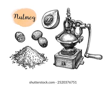 Nuez moscada, entera y molida. Molinillo de especias. Boceto de tinta aislado sobre fondo blanco. Ilustración vectorial dibujada a mano. Estilo Antiguas.
