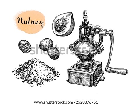 Nutmeg, whole and ground. Spice grinder. Ink sketch isolated on white background. Hand drawn vector illustration. Vintage style.