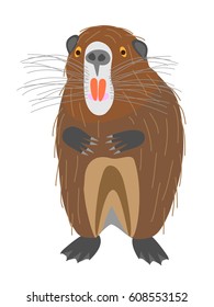 Nutria