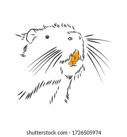 nutria black and white. nutria vector sketch illustration