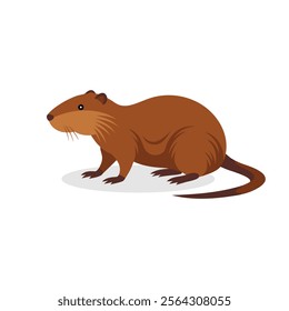 
Nutria isolated flat vector illustration on white background