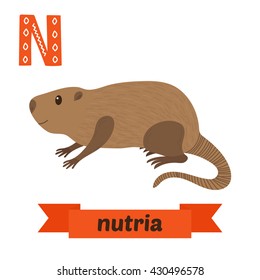 Nutria. N letter. Cute children animal alphabet in vector. Funny cartoon animals. Vector illustration