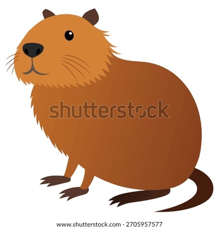 nutria vector on white bacground