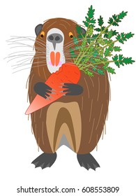 The nutria which eats a carrot.