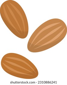Nutrient delicious dried almonds isolated, dried fruit and nutrition concept
