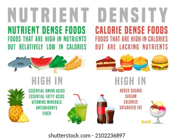 Nutrient dense foods versus calorie dense foods. Medical, healthcare, healthy eating infographic with food examples. Horizontal poster. Editable vector illustration isolated on a white background.