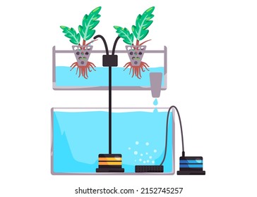 Nutrient film technique system in smart farming method flow of water and nutritions using shallow stream