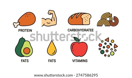 Nutrient Guide Line soft elegant tone illustration