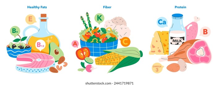 Nutrient Rich Foods Set. Illustrating the importance of healthy fats, high-fiber diets, and protein-rich meals. Essential vitamins and minerals for well-being. Vector illustration.