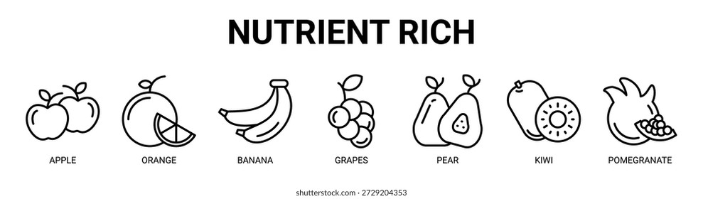 Nutrient Rich web banner ícone vetor ilustração conceito com ícone de maçã, laranja, banana, uvas, pera, kiwi e romã.