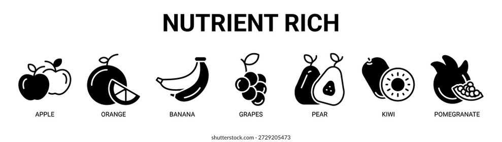 Nutrient Rich web banner ícone vetor ilustração conceito com ícone de maçã, laranja, banana, uvas, pera, kiwi e romã.