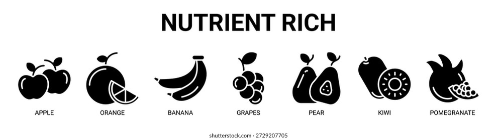 Nutrient Rich web banner ícone vetor ilustração conceito com ícone de maçã, laranja, banana, uvas, pera, kiwi e romã.