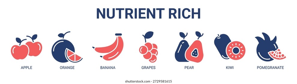 Nutrient Rich web banner ícone vetor ilustração conceito com ícone de maçã, laranja, banana, uvas, pera, kiwi e romã.