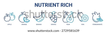 Nutrient Rich web banner icon vector illustration concept with icon of apple, orange, banana, grapes, pear, kiwi, and pomegranate.