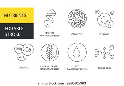 Nutrients vector line icon, illustration of protein and fiber, vitamins and minerals, carbohydrates and fats, amino acids and macronutrients. Editable stroke