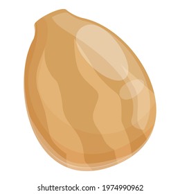 Nutrition baobab fruit icon. Cartoon of Nutrition baobab fruit vector icon for web design isolated on white background