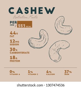 Nutrition facts of cashew, nut and  fetus.Hand drawn - Vector