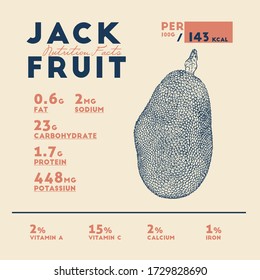 Nutrition Facts Of Jackfruit, Hand Draw Sketch Vector.