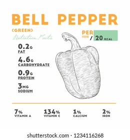 Nutrition facts of raw bell pepper, hand draw sketch vector.