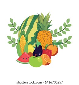 nutrition fresh fruit and vegetables