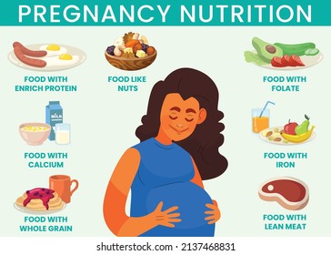 Nutrition infographics for pregnant woman. Healthy diet for baby. Information about food during every trimester. Pregnant woman dieting. Vector poster for Food during pregnancy.