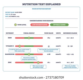 Nutrition test explained, a patient report with nutrient gauge bars and reference ranges, showing iron, vitamin D, magnesium, and zinc levels for quick interpretation. Outline diagram