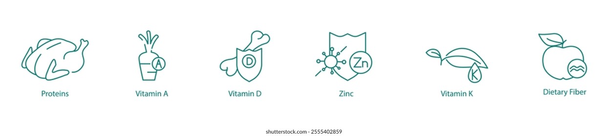 Nutritional Essentials Icon Set - Protein, Vitamin A, Vitamin D, Zinc, Vitamin K, and Dietary Fiber for Health and Wellness