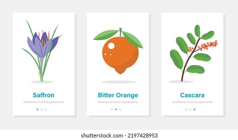 Nutritional food supplements onboarding. Isolated vector vertical banners with herbal illustrations