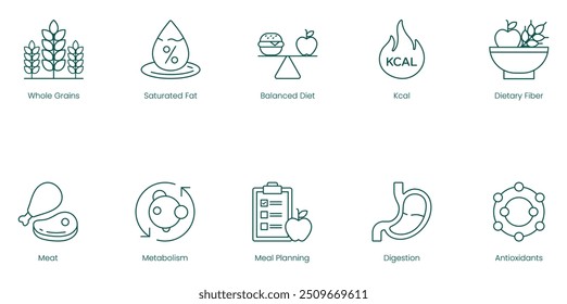 Iconos nutricionales del vector de la salud: Grano entero, grasa saturada, dieta equilibrada, calorías, fibra dietética, metabolismo de la carne, planificación de comidas, digestión y antioxidantes