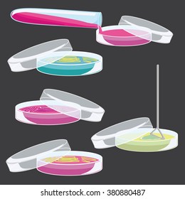 Nutritional medium meat or fish  agar with Drigalski spatula and flasks, test tubes, Staphylococcus, Streptococcus, Bacillus, 