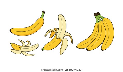 O poder nutricional das bananas Um mergulho profundo nos benefícios deste fruto