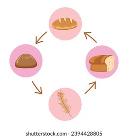 nutritional products in food cycle vector isolated