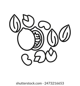 Nutritious Dry Fruit Icon Ideal for Healthy Eating and Snack Illustrations