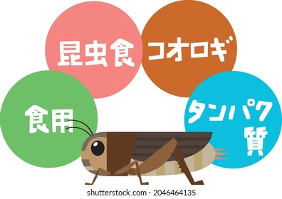 Nutritious edible crickets ／ The letters in the illustrations mean protein edible crickets in Japanese