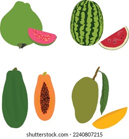 Nutritious Fruit Vector Avatar Art.This is an editable and printable vector eps file.