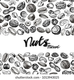 Nuts background. Seamless border with nuts. Hand drawn vector background.