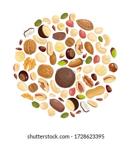 Nuts background. Various nuts in circle form. Peanut, hazelnut and pistachio, cashew and pecan, walnut. Brazil nut and almond vector food concept