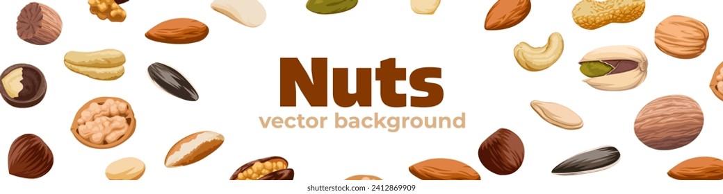 Nuts banner. Nuts template. Flat style.